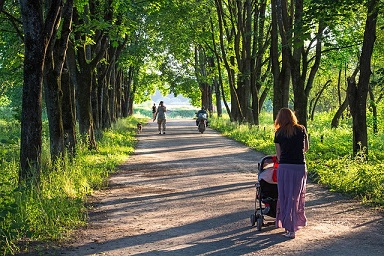 Afbeelding van een bospad met vrouw en kinderwagen